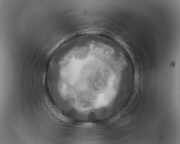 X0000115690153200912031450