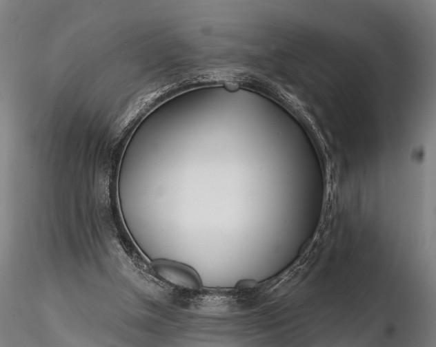 X0000115690154200912031450