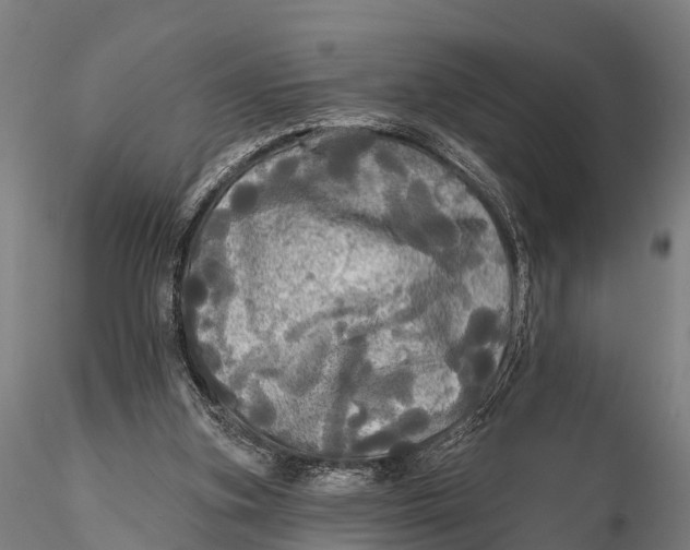 X0000115690155200912031450