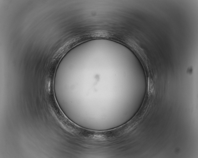 X0000115690157200912031450