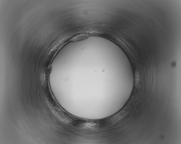 X0000115690158200912031450