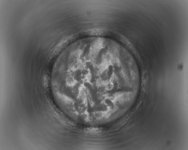 X0000115690161200912031450