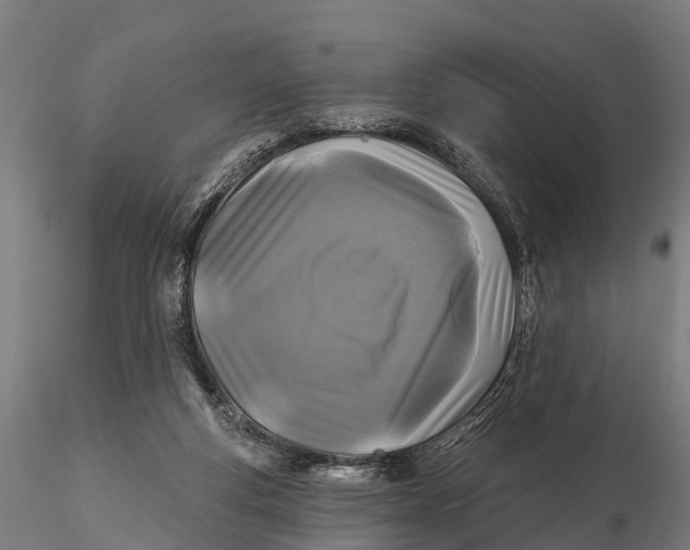 X0000115690163200912031451