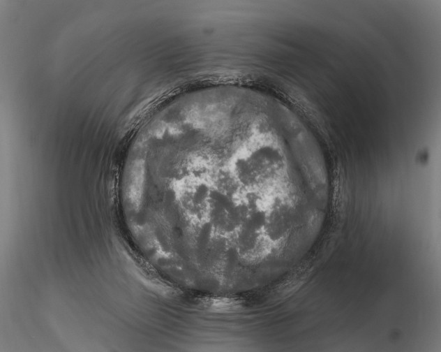 X0000115690165200912031451