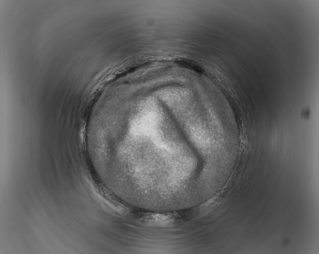 X0000115690166200912031451