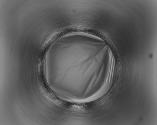 X0000115690167200912031451