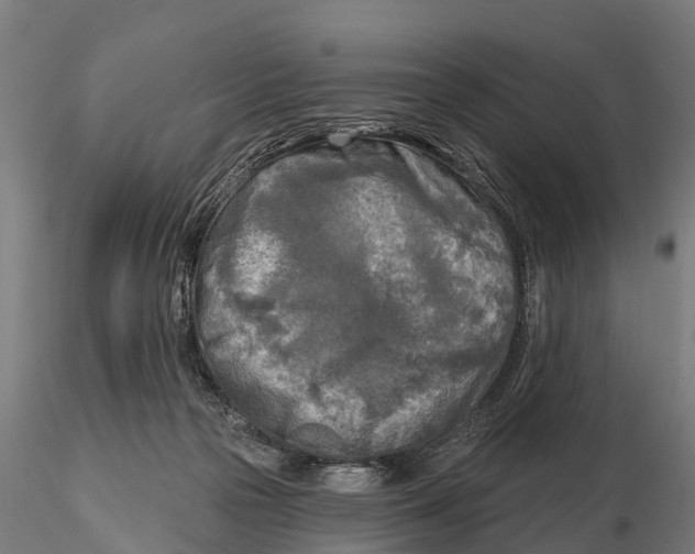 X0000115690169200912031451