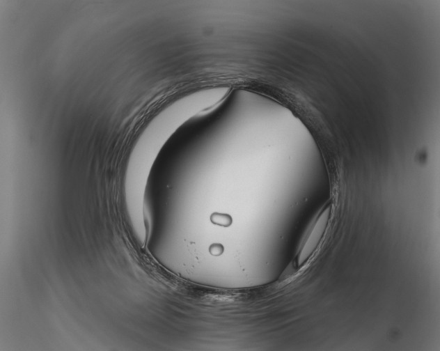 X0000115690170200912031451