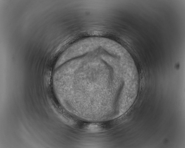 X0000115690171200912031451