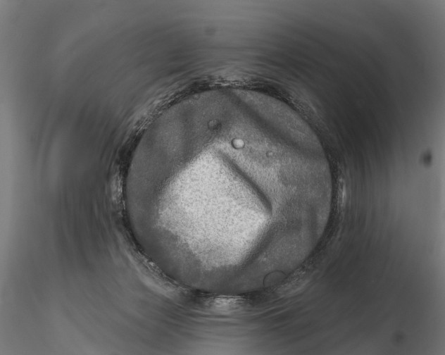 X0000115690173200912031451