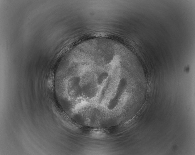 X0000115690175200912031451