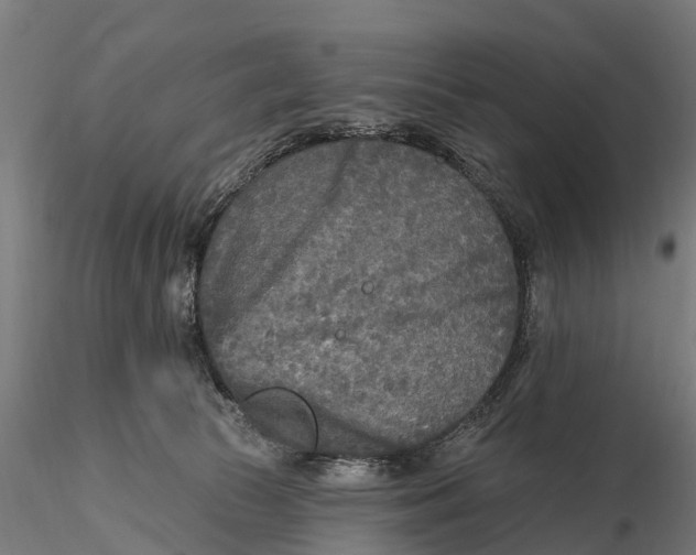 X0000115690177200912031451