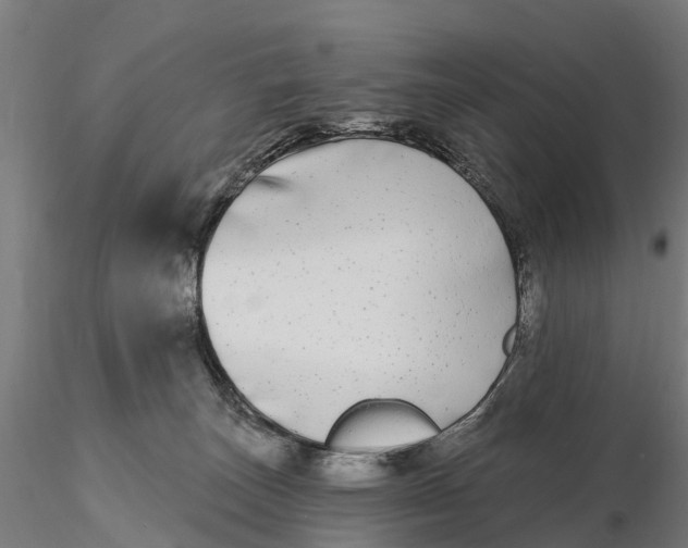 X0000115690179200912031451