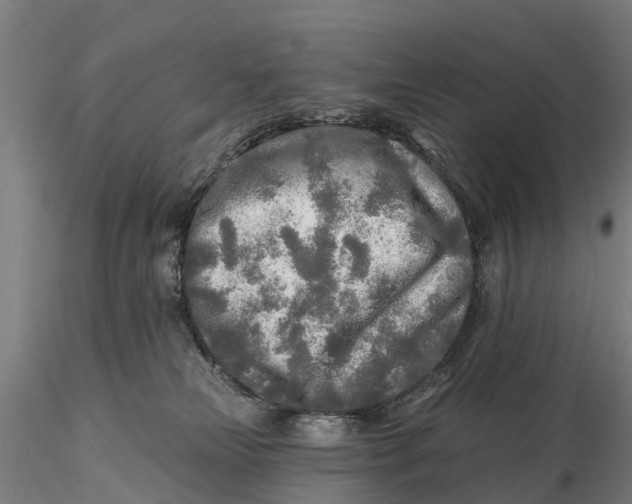 X0000115690181200912031451