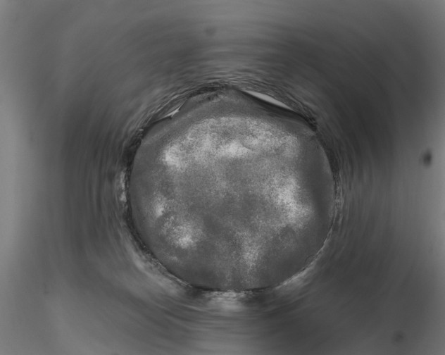 X0000115690182200912031451