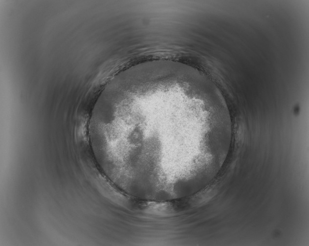X0000115690185200912031451