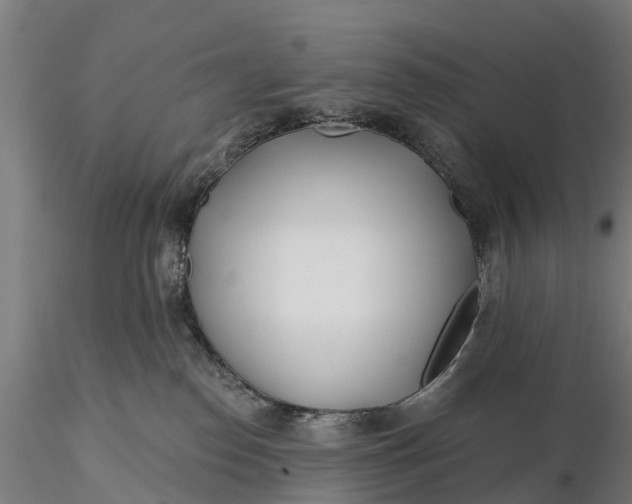 X0000115690186200912031451