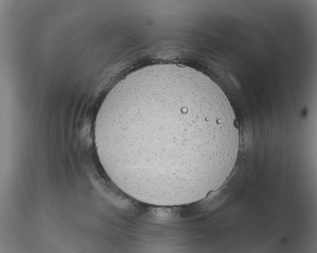 X0000115690187200912031451