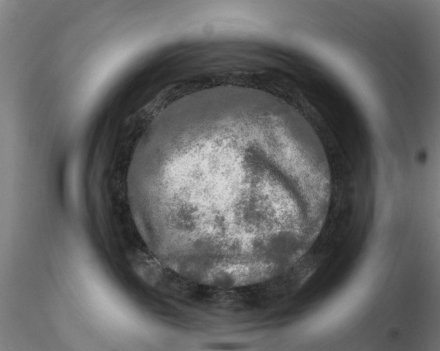 X0000115690189200912031451