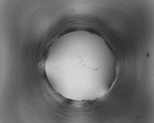 X0000115690190200912031451