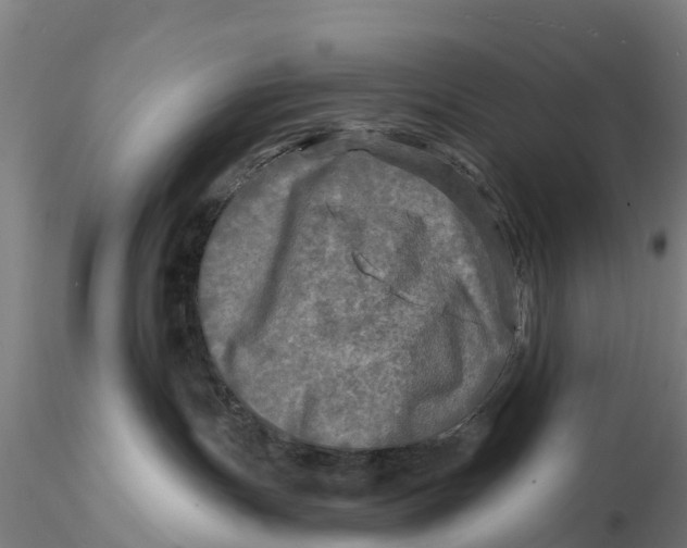 X0000115690191200912031451