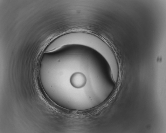 X0000115690193200912031450