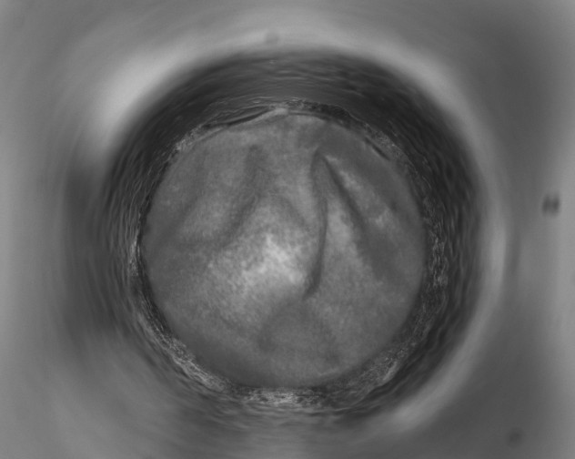 X0000115690194200912031450