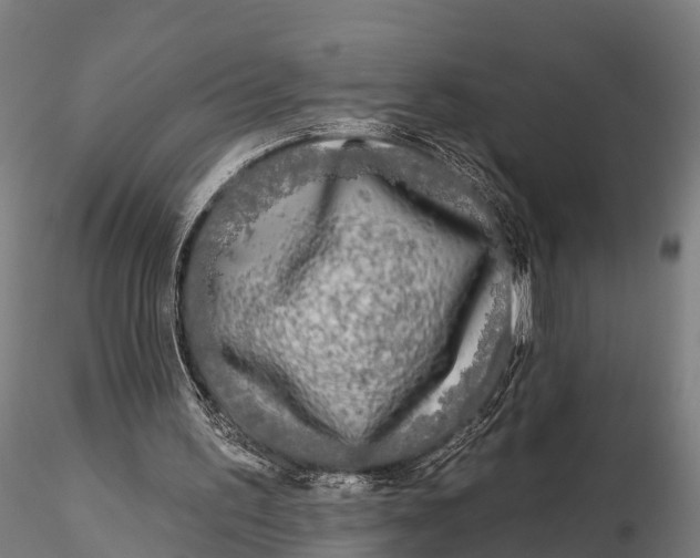 X0000115690195200912031450