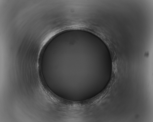 X0000115690196200912031450