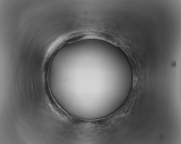 X0000115690197200912031450