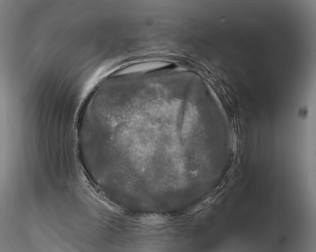 X0000115690198200912031450