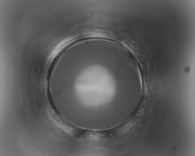 X0000115690199200912031450