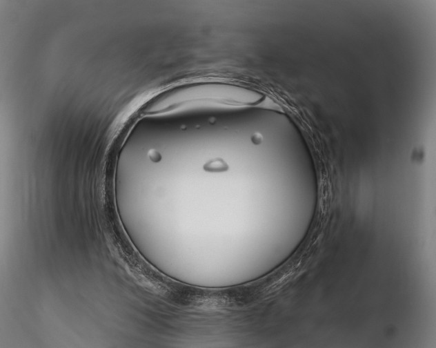 X0000115690200200912031450