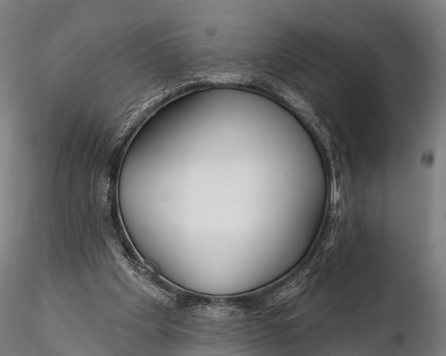 X0000115690201200912031450