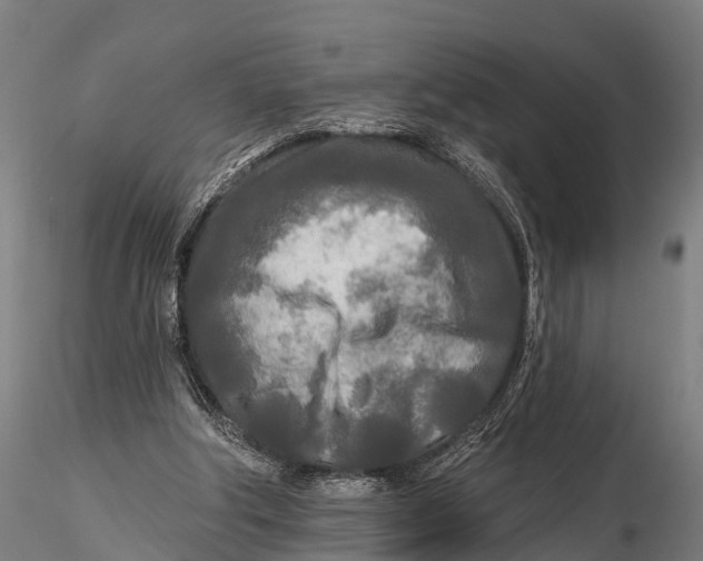 X0000115690202200912031450