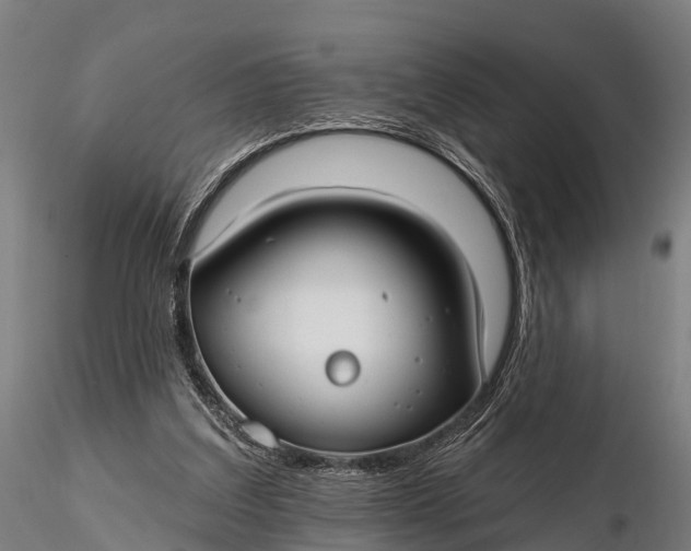 X0000115690203200912031450