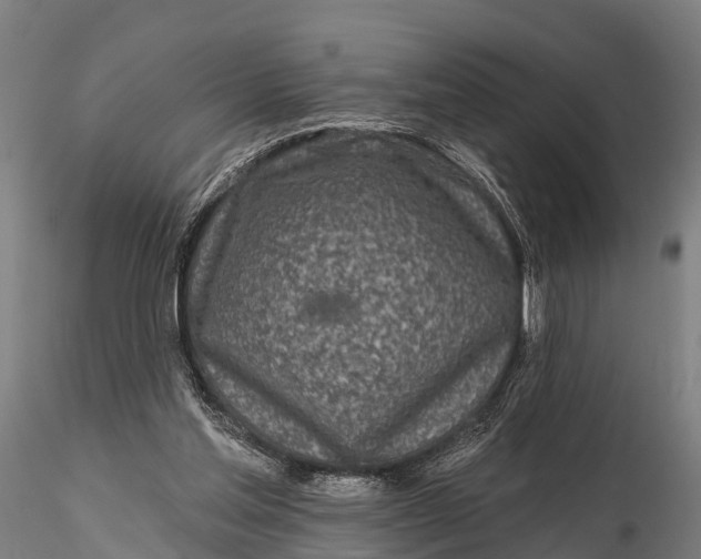 X0000115690205200912031450