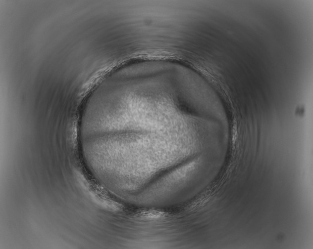 X0000115690206200912031450