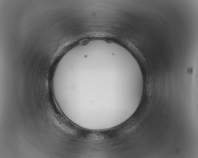 X0000115690207200912031450