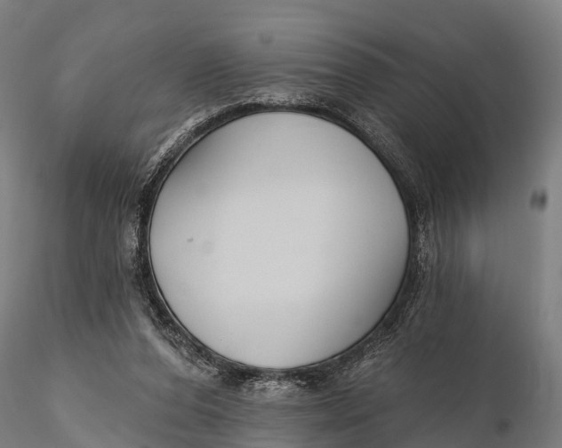 X0000115690208200912031450