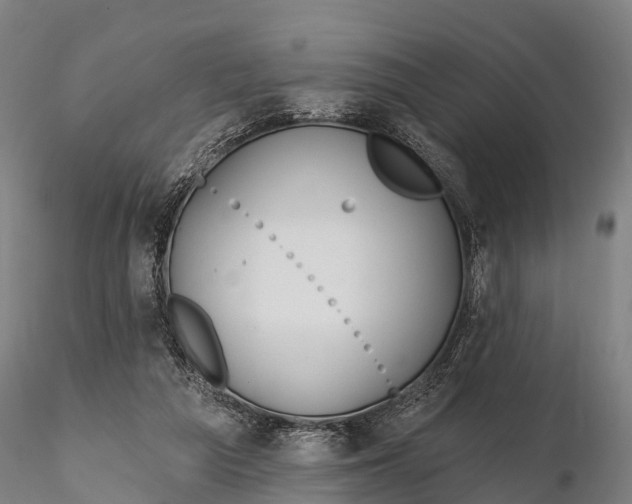 X0000115690209200912031450