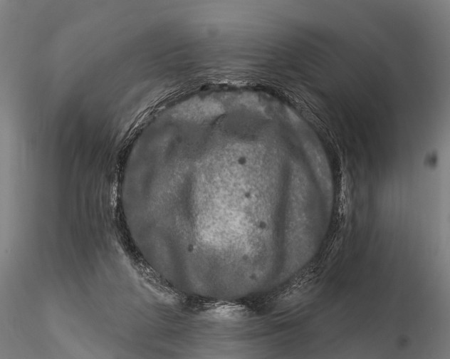 X0000115690210200912031450