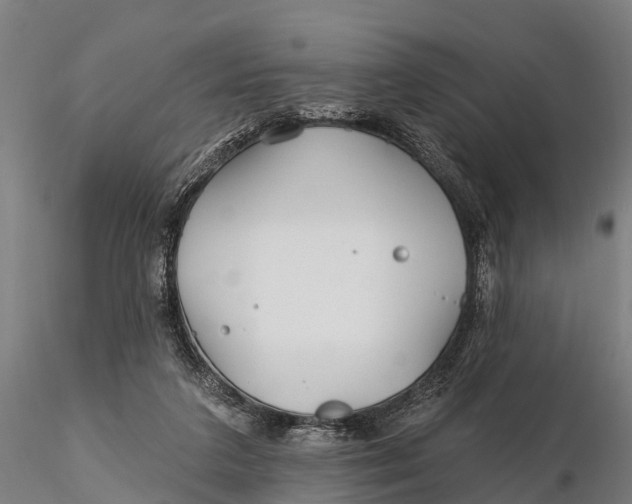 X0000115690211200912031450