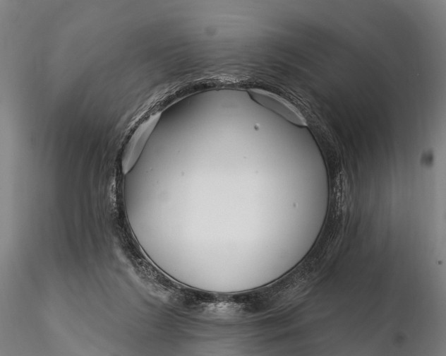 X0000115690212200912031450