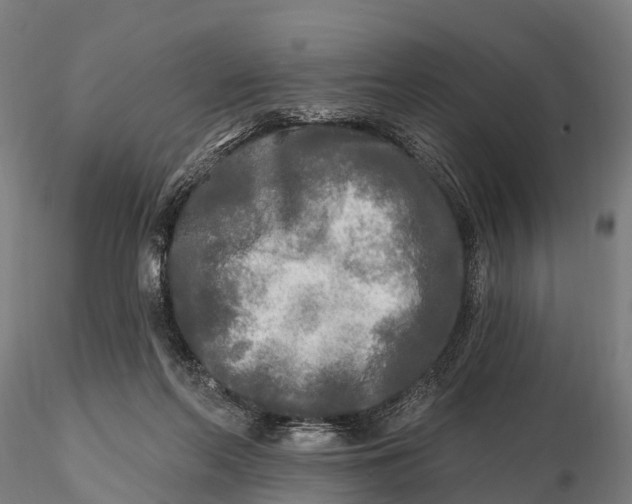 X0000115690214200912031450