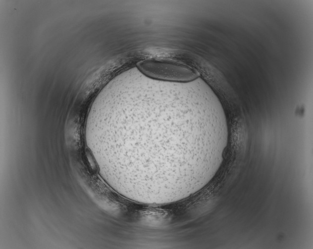 X0000115690215200912031450