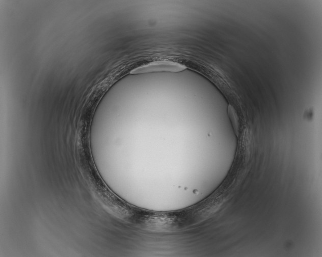 X0000115690217200912031450