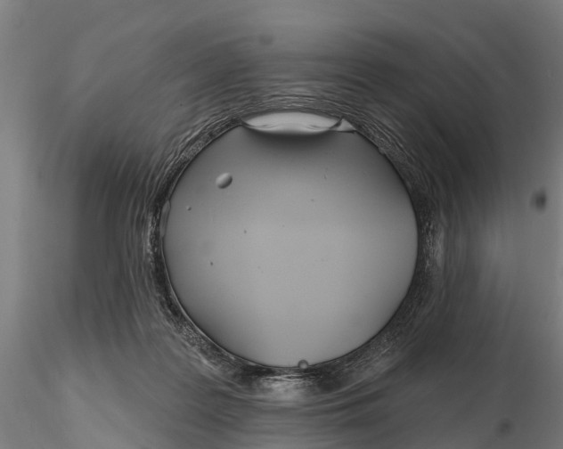 X0000115690219200912031450