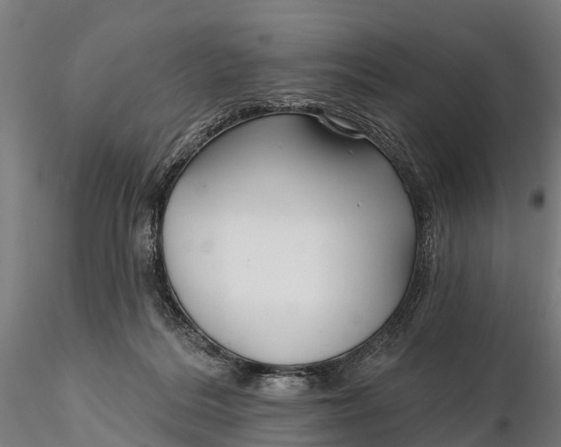 X0000115690220200912031450