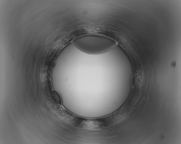 X0000115690221200912031450